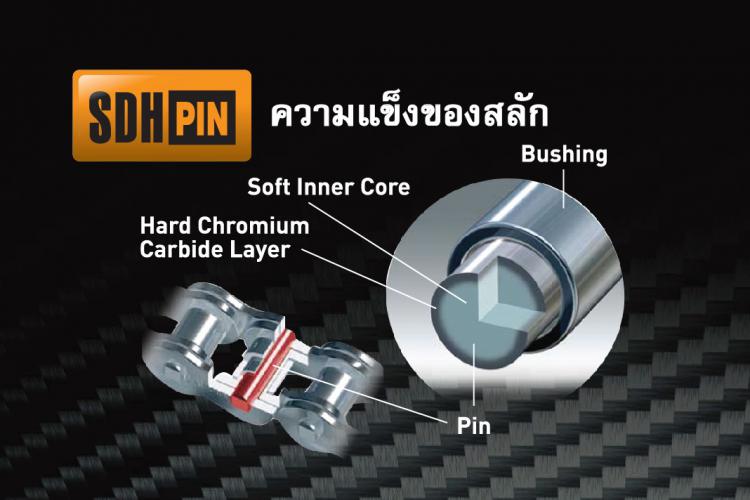 SDH PIN